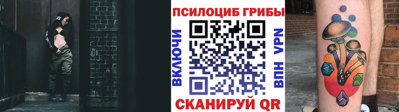 Псилоцибиновые грибы мухоморы  Купить закладки  Дивногорск 